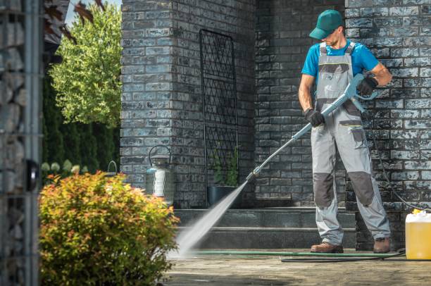 Best Driveway Pressure Washing  in Oxford, IN